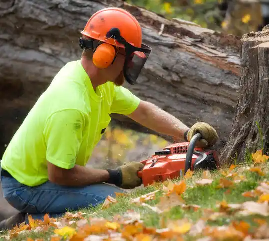 tree services Reserve